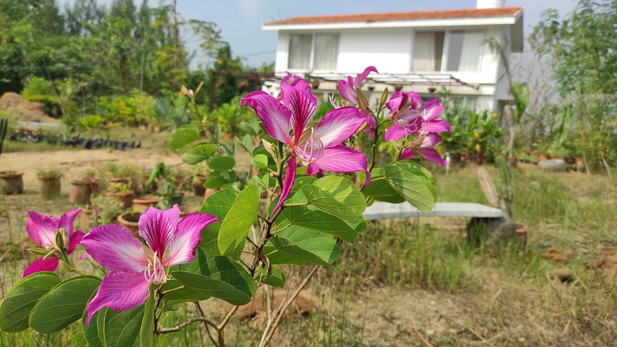 Vaksana Farm Stay Gudraippattu Ngoại thất bức ảnh